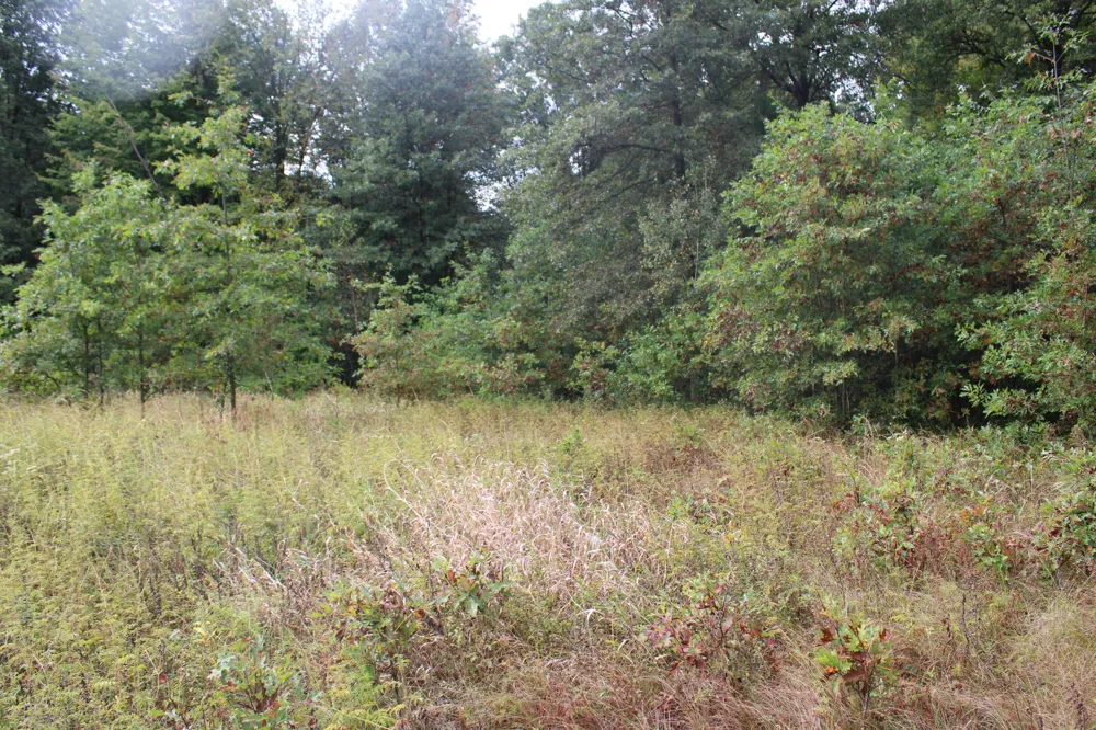 S Mason Road Ashley, MI 48806
