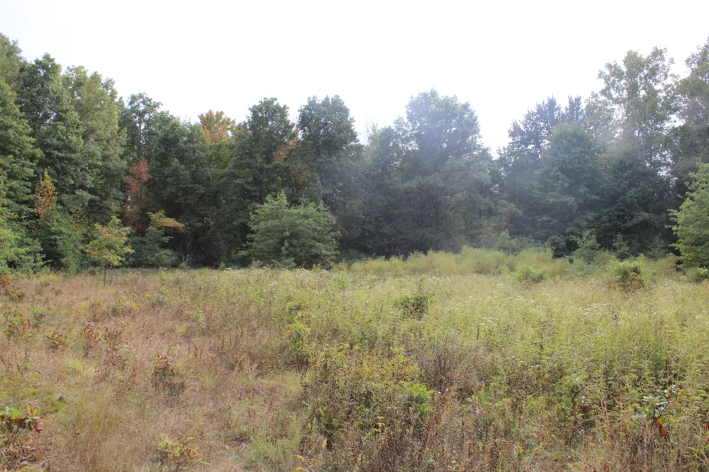 S Mason Road Ashley, MI 48806