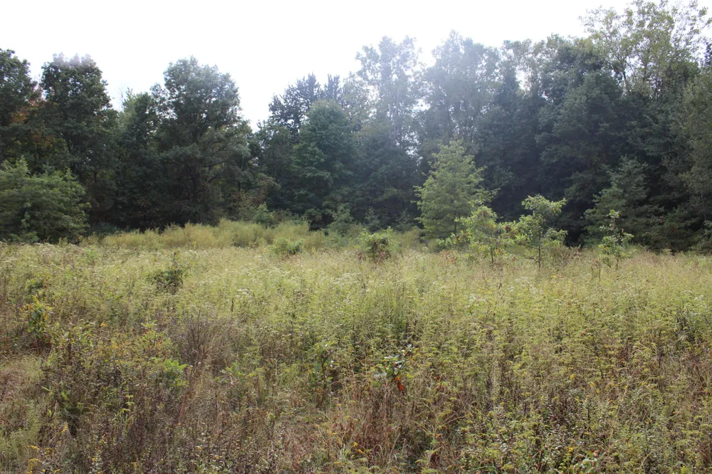 S Mason Road Ashley, MI 48806