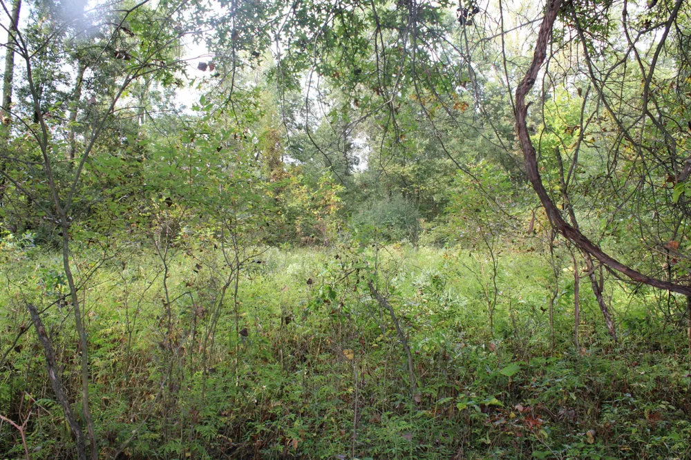 S Mason Road Ashley, MI 48806
