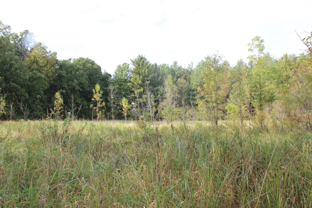 S Mason Road Ashley, MI 48806