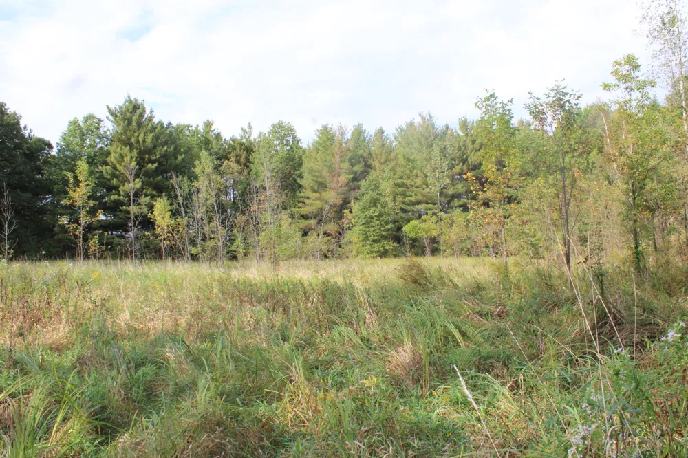 S Mason Road Ashley, MI 48806