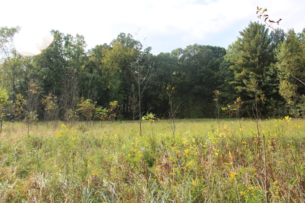S Mason Road Ashley, MI 48806