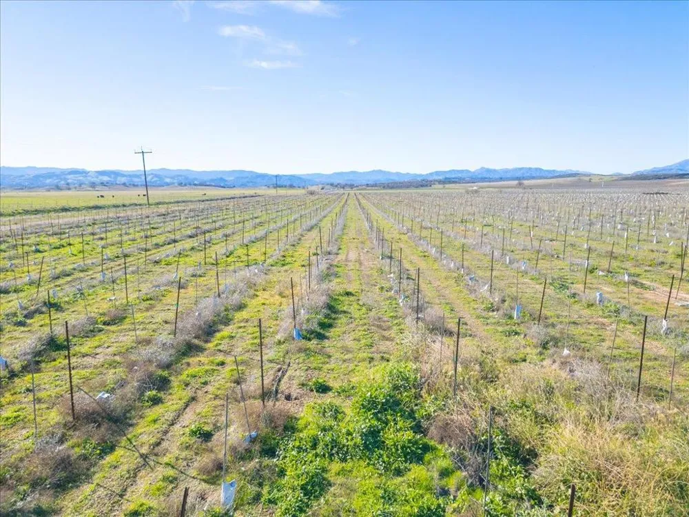 48655 Lockwood Jolon Road Lockwood, CA 93932