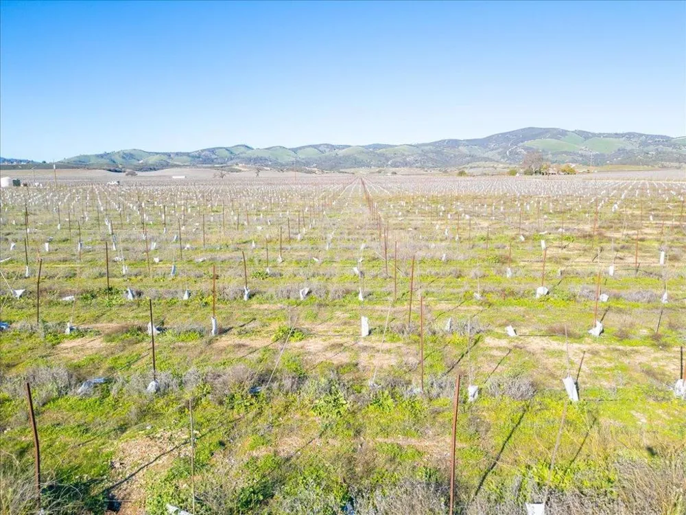 48655 Lockwood Jolon Road Lockwood, CA 93932