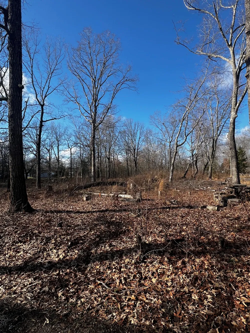 0 Bull Run Beechgrove, TN 37018