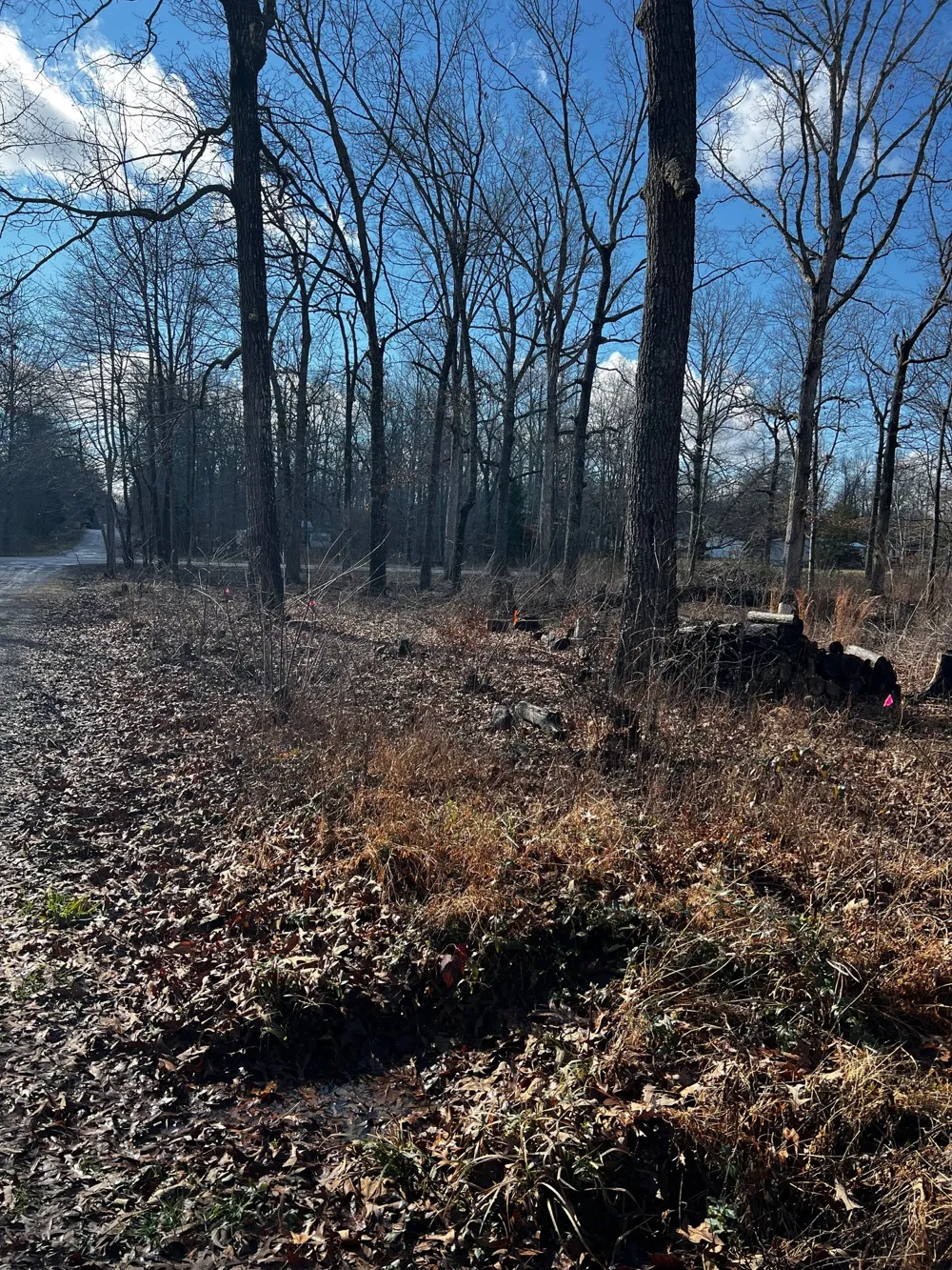 0 Bull Run Beechgrove, TN 37018