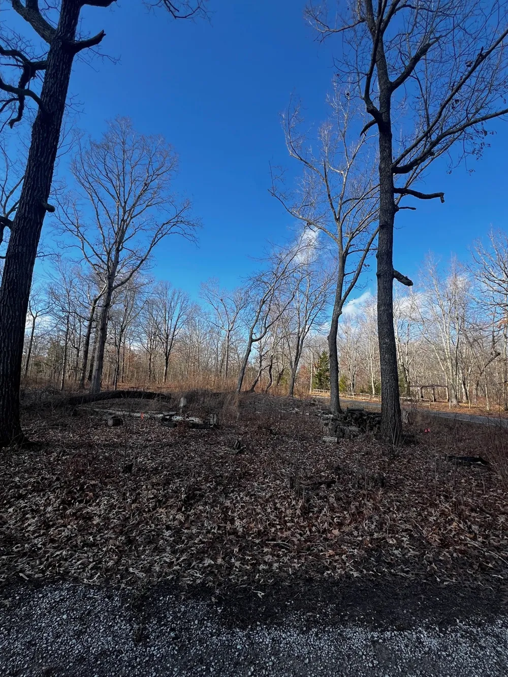 0 Bull Run Beechgrove, TN 37018