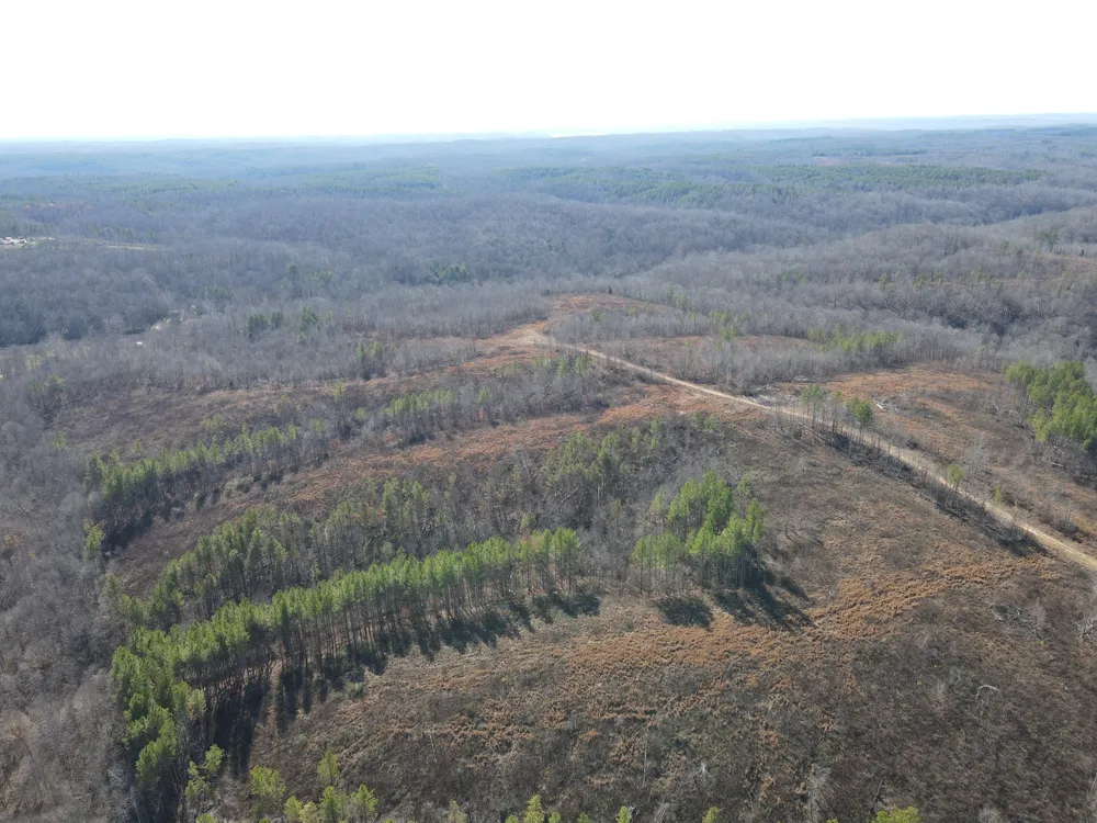 0 North Fork Stewart, TN 37175