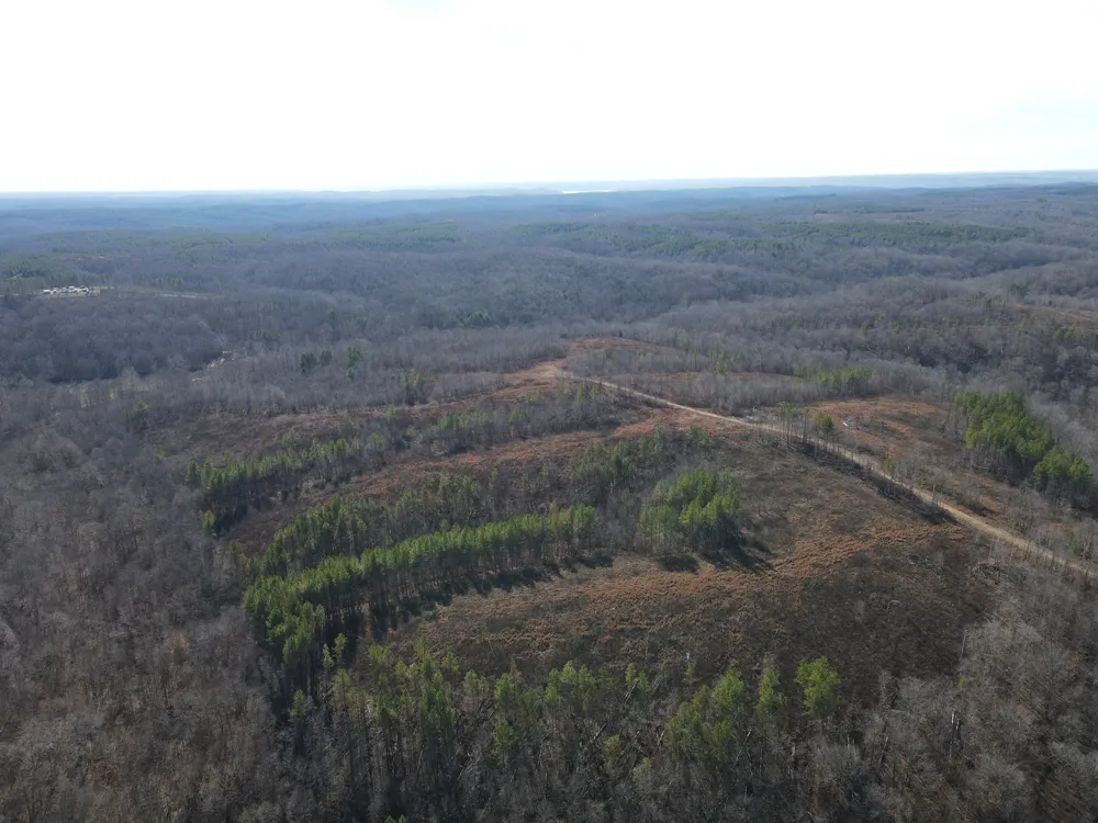 0 North Fork Stewart, TN 37175