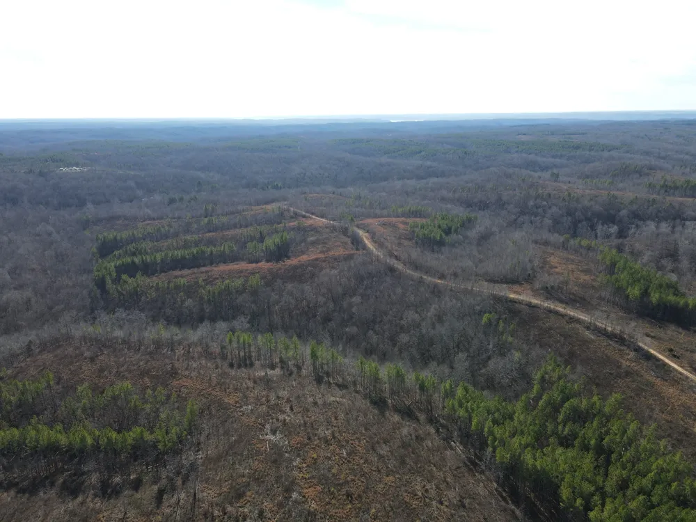 0 North Fork Stewart, TN 37175