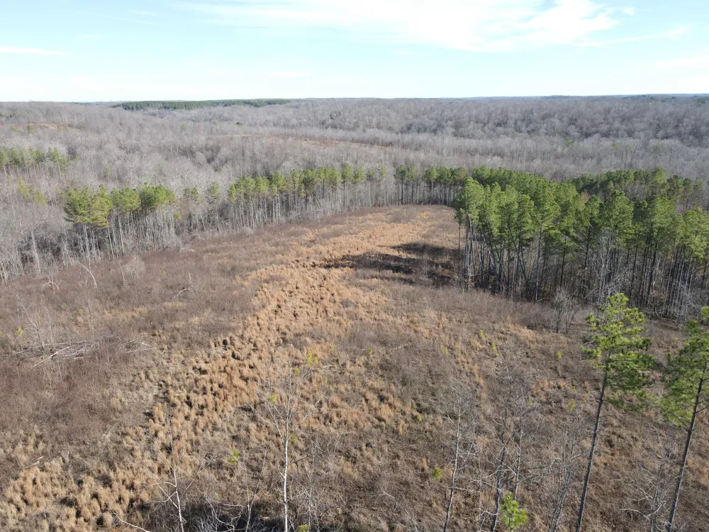 0 North Fork Stewart, TN 37175