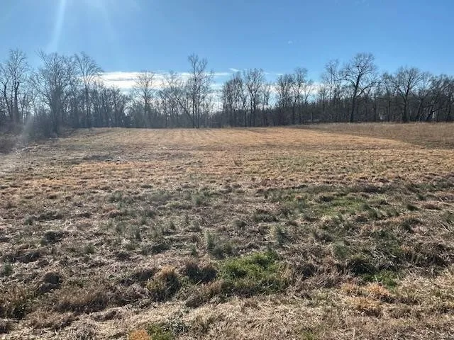 136 RIVER RUN ESTATES/CRAVENS RD Savannah, TN 38372