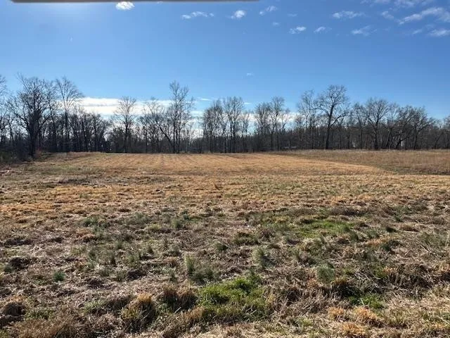 136 RIVER RUN ESTATES/CRAVENS RD Savannah, TN 38372