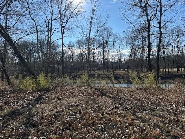 136 RIVER RUN ESTATES/CRAVENS RD Savannah, TN 38372