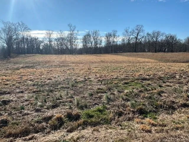 136 RIVER RUN ESTATES/CRAVENS RD Savannah, TN 38372