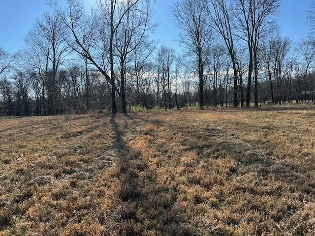 136 RIVER RUN ESTATES/CRAVENS RD Savannah, TN 38372