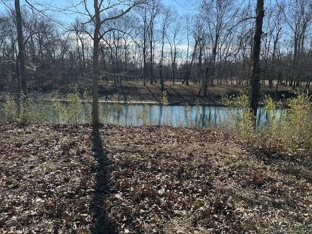 136 RIVER RUN ESTATES/CRAVENS RD Savannah, TN 38372