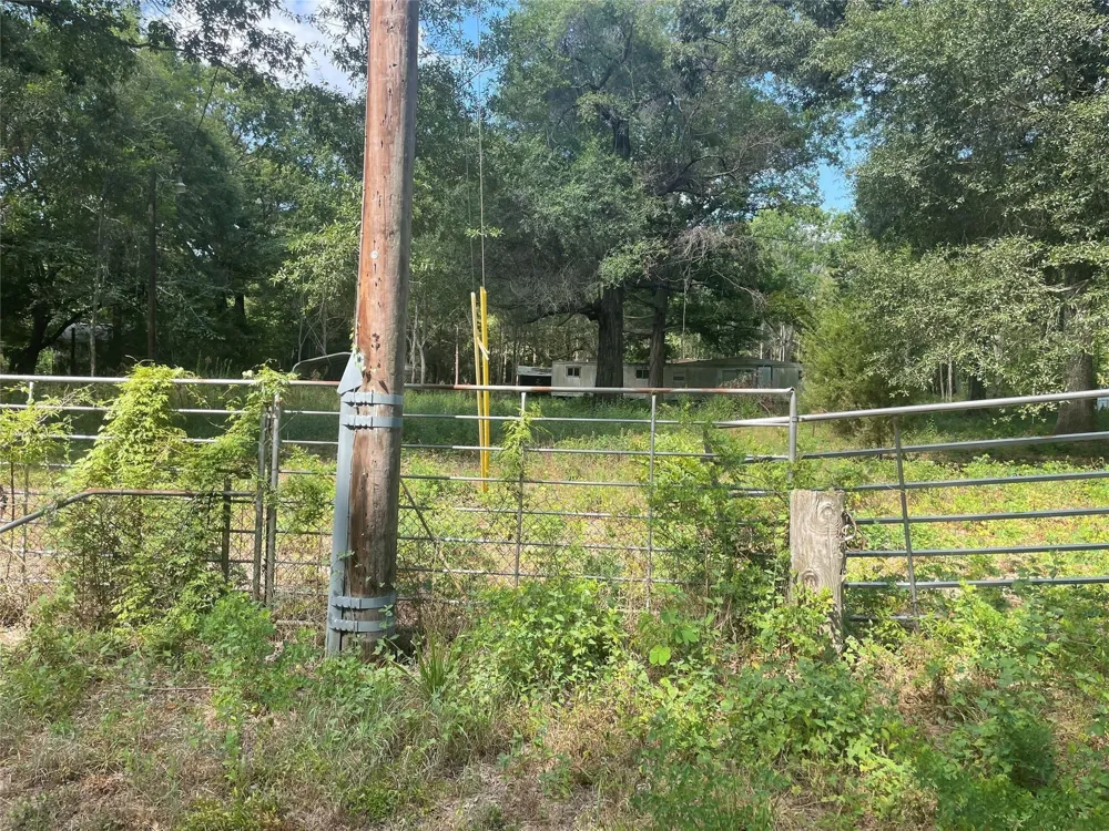220 Bitter Creek Drive Shepherd, TX 77371