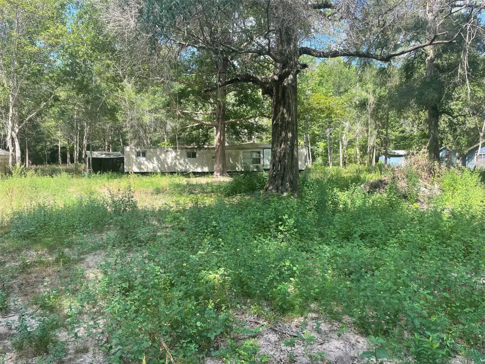220 Bitter Creek Drive Shepherd, TX 77371