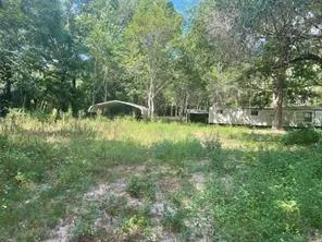 220 Bitter Creek Drive Shepherd, TX 77371