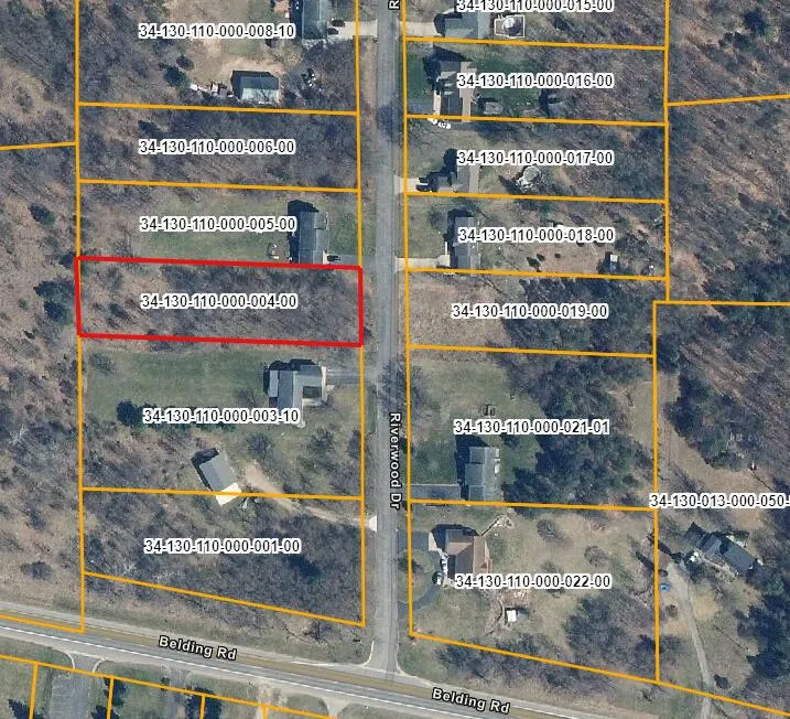 6961 Riverwood Drive Belding, MI 48809