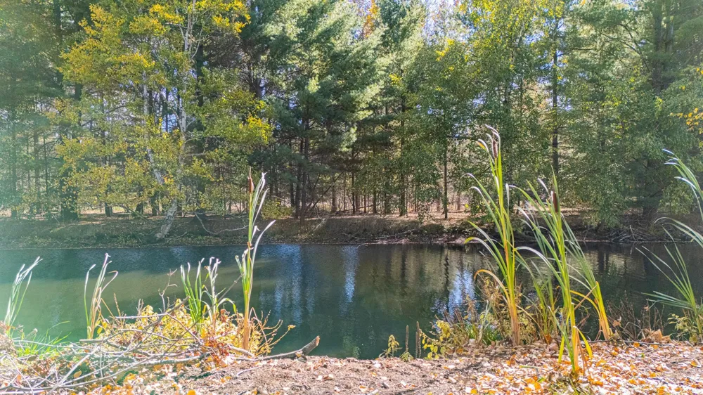 Long Point Lake Township, MI 48629