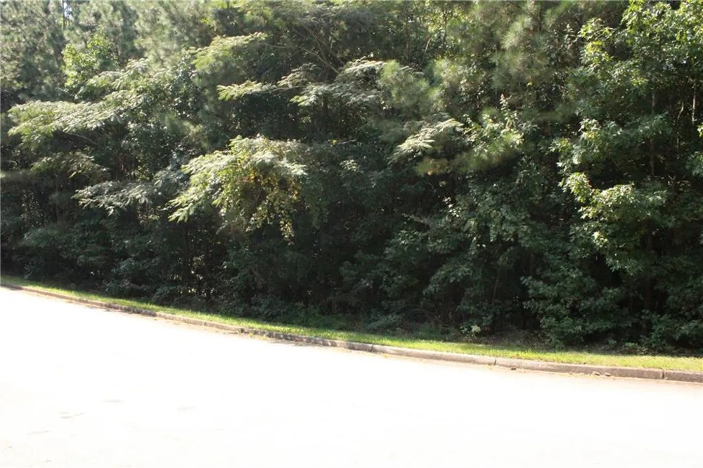 8747 Camron Drive Winston, GA 30187