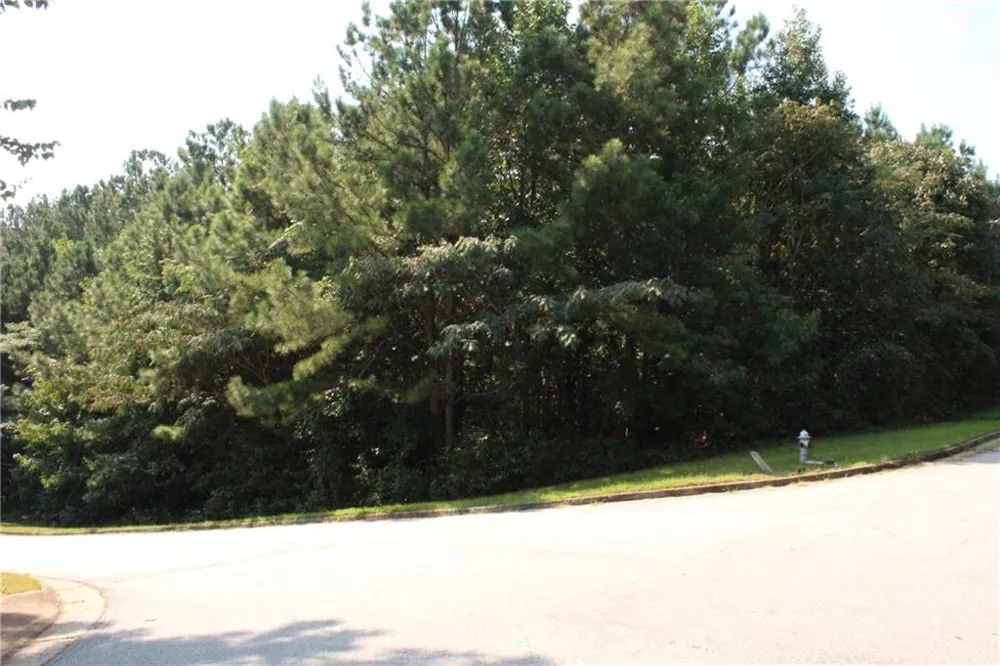 8747 Camron Drive Winston, GA 30187