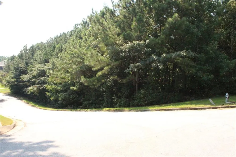8747 Camron Drive Winston, GA 30187