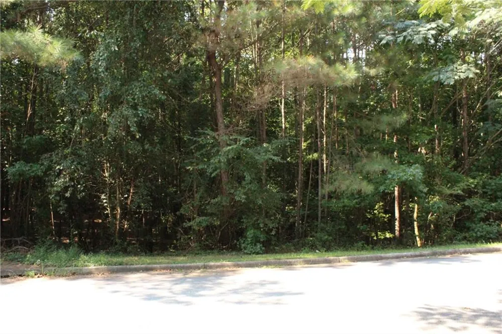 8747 Camron Drive Winston, GA 30187
