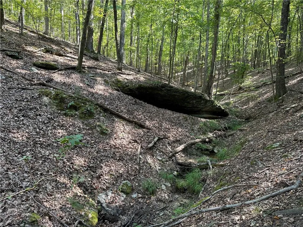 0 Super Deluxe Road Rockmart, GA 30153
