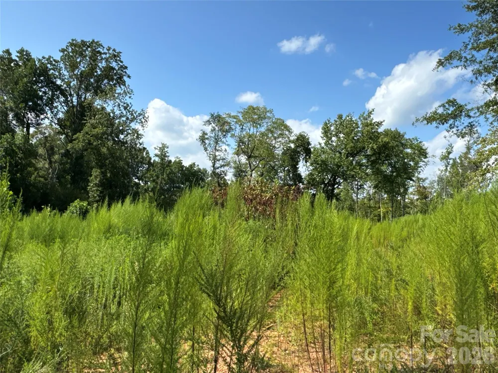 134 W McBrayer Lane Mooresboro, NC 28114