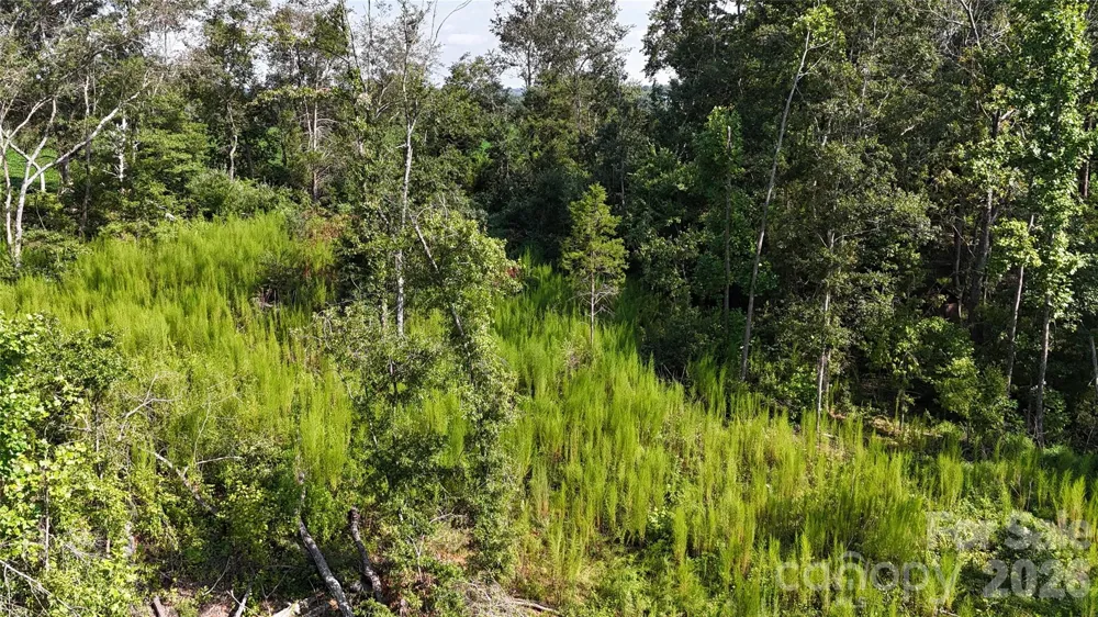 134 W McBrayer Lane Mooresboro, NC 28114