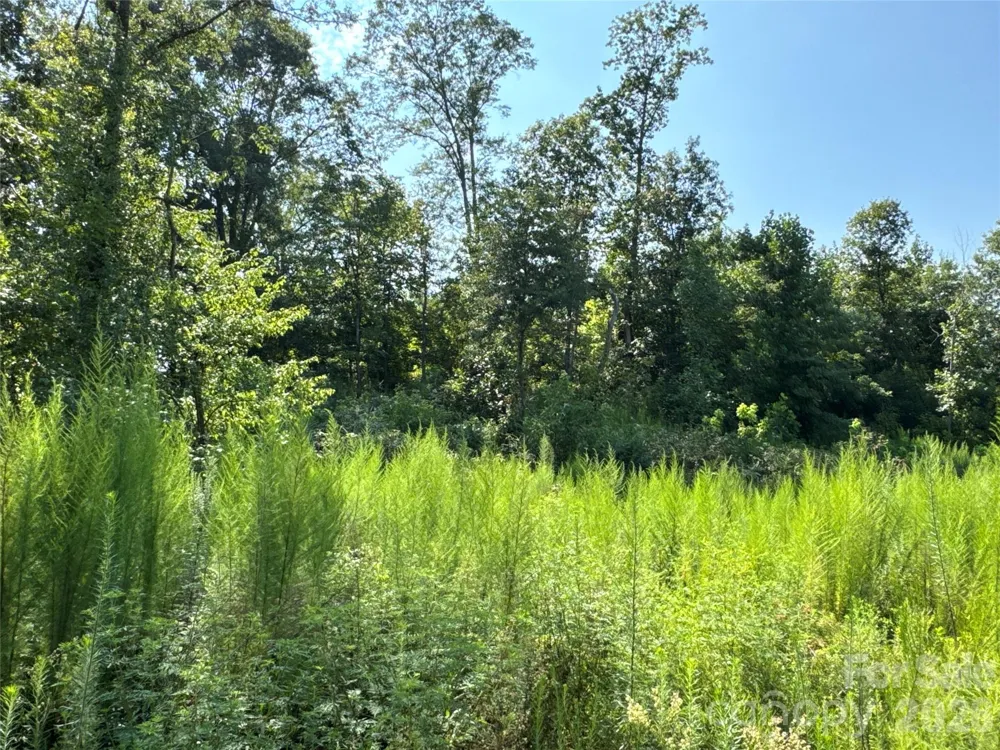 134 W McBrayer Lane Mooresboro, NC 28114