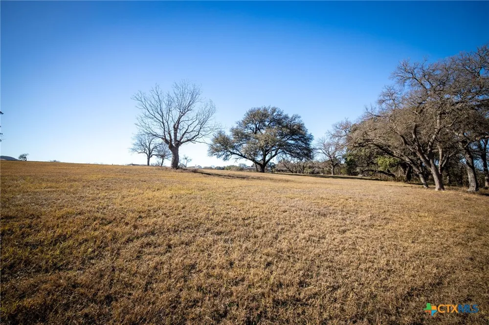 833 Bingham Lane New Braunfels, TX 78132