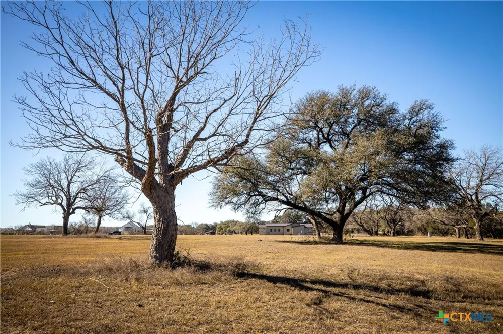 833 Bingham Lane New Braunfels, TX 78132