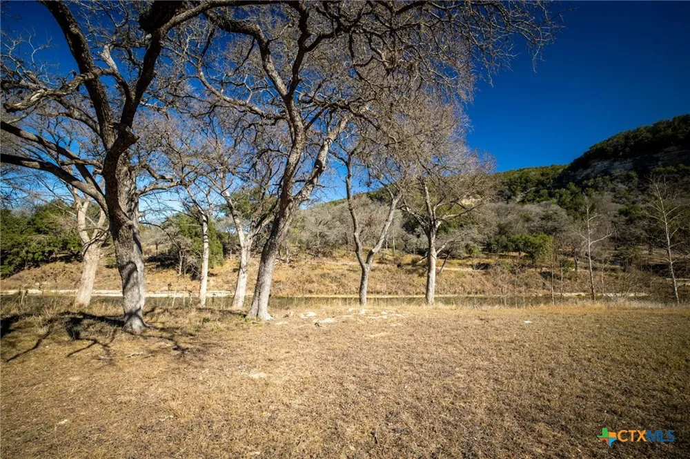 833 Bingham Lane New Braunfels, TX 78132