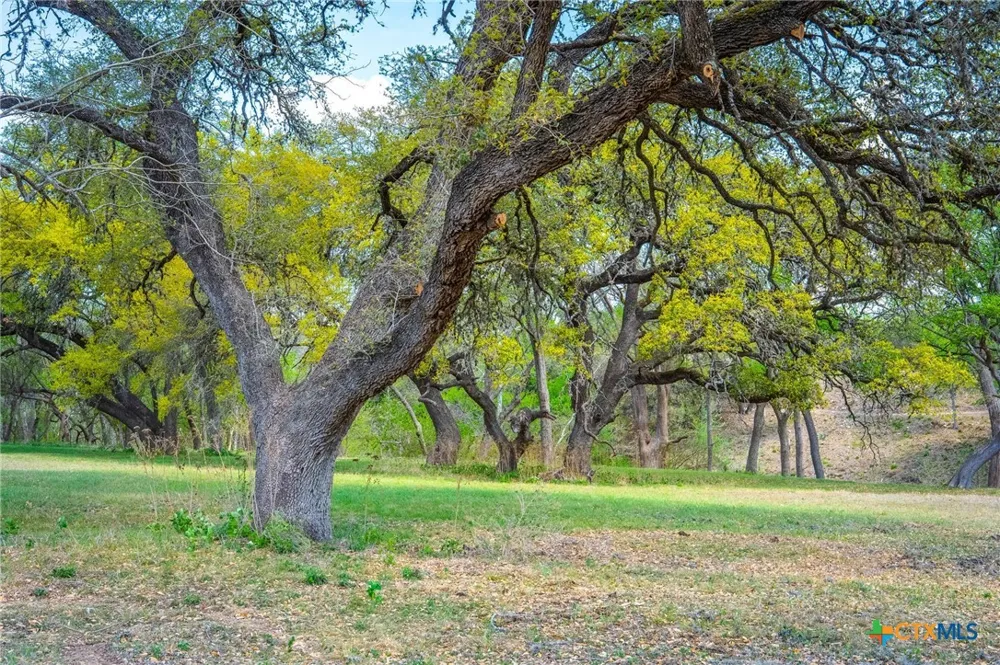 833 Bingham Lane New Braunfels, TX 78132