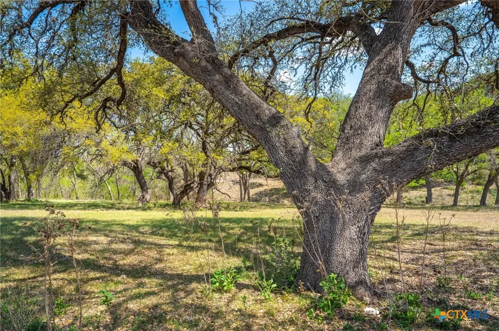 833 Bingham Lane New Braunfels, TX 78132