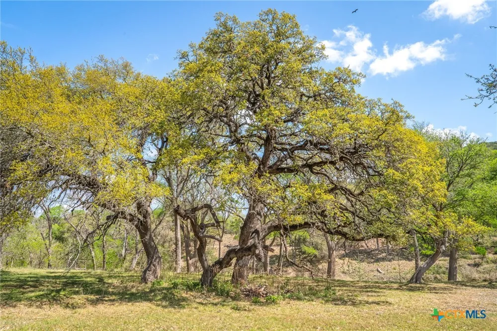 833 Bingham Lane New Braunfels, TX 78132