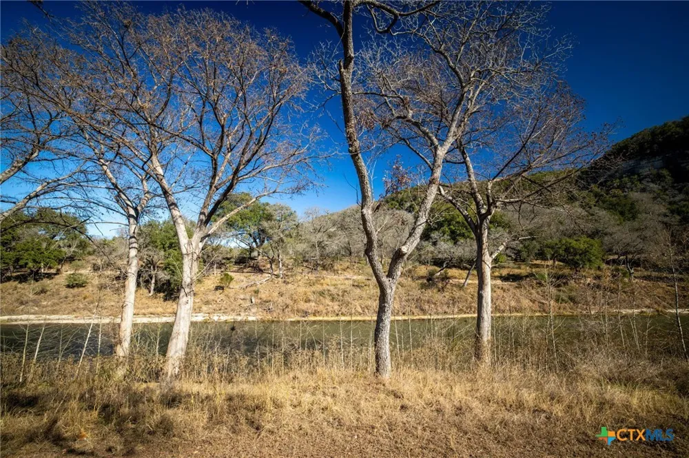 833 Bingham Lane New Braunfels, TX 78132