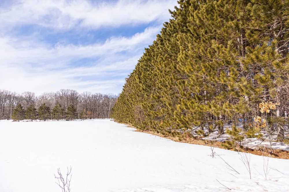 000 Mid-River Road Pine City, MN 55063