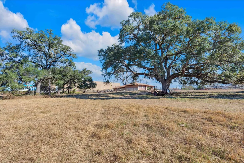 1243 North Jefferson La Grange, TX 78945