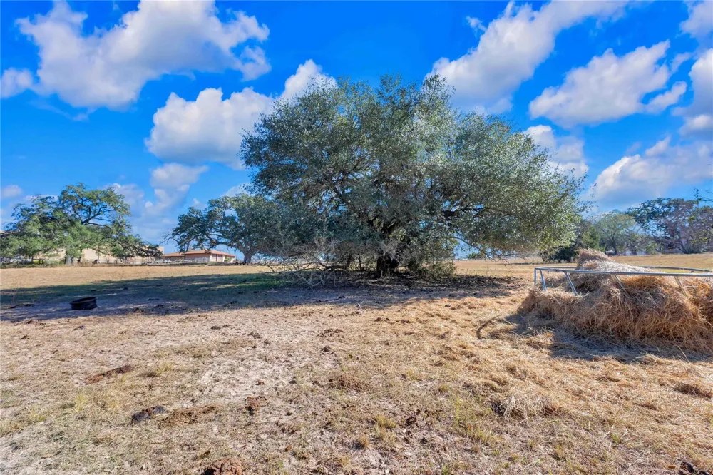 1243 North Jefferson La Grange, TX 78945