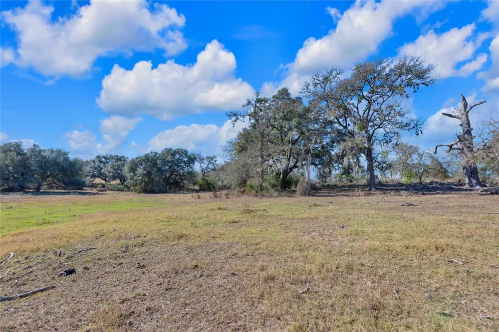 1243 North Jefferson La Grange, TX 78945