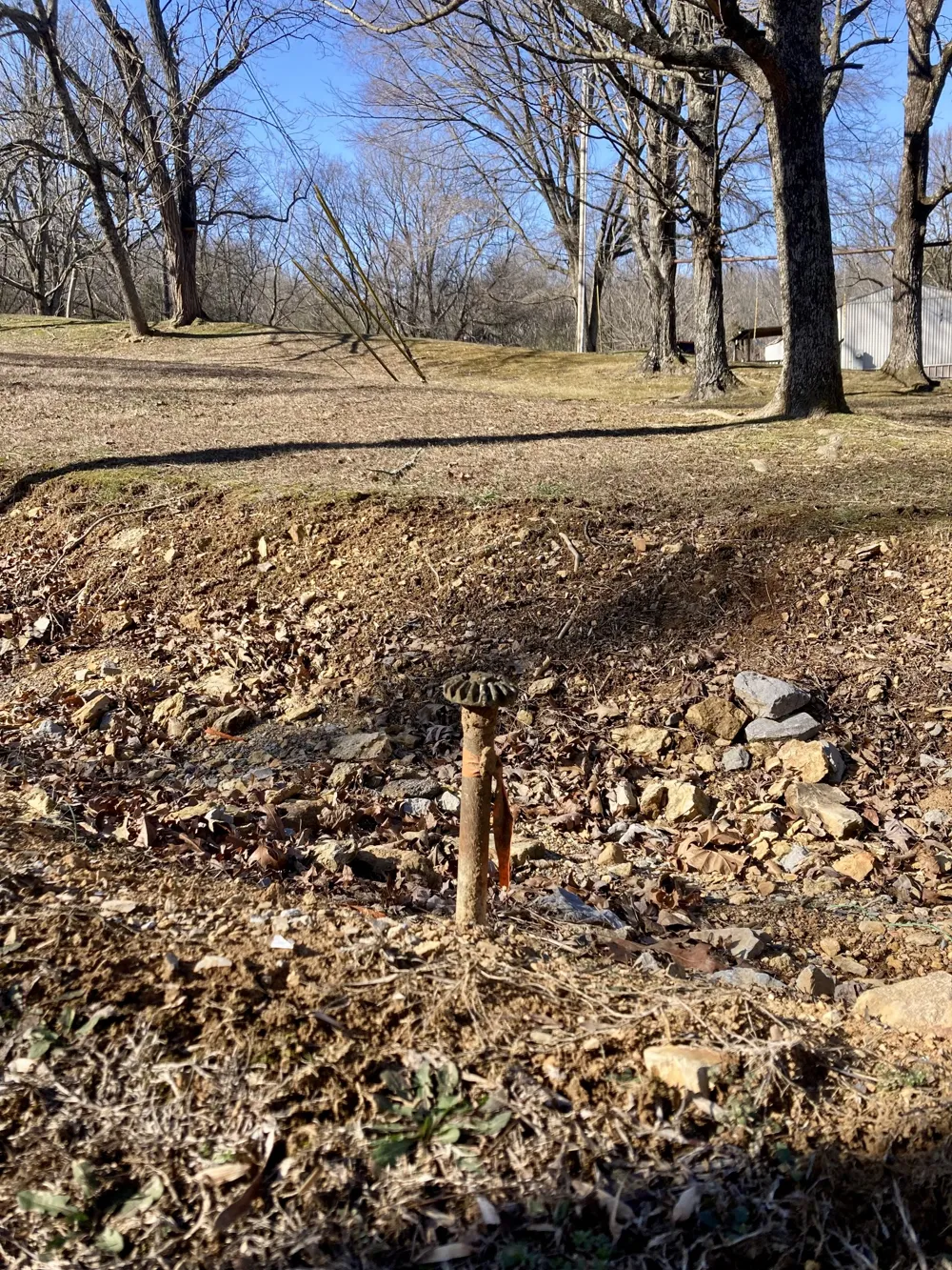 3180 76 Highway Portland, TN 37148