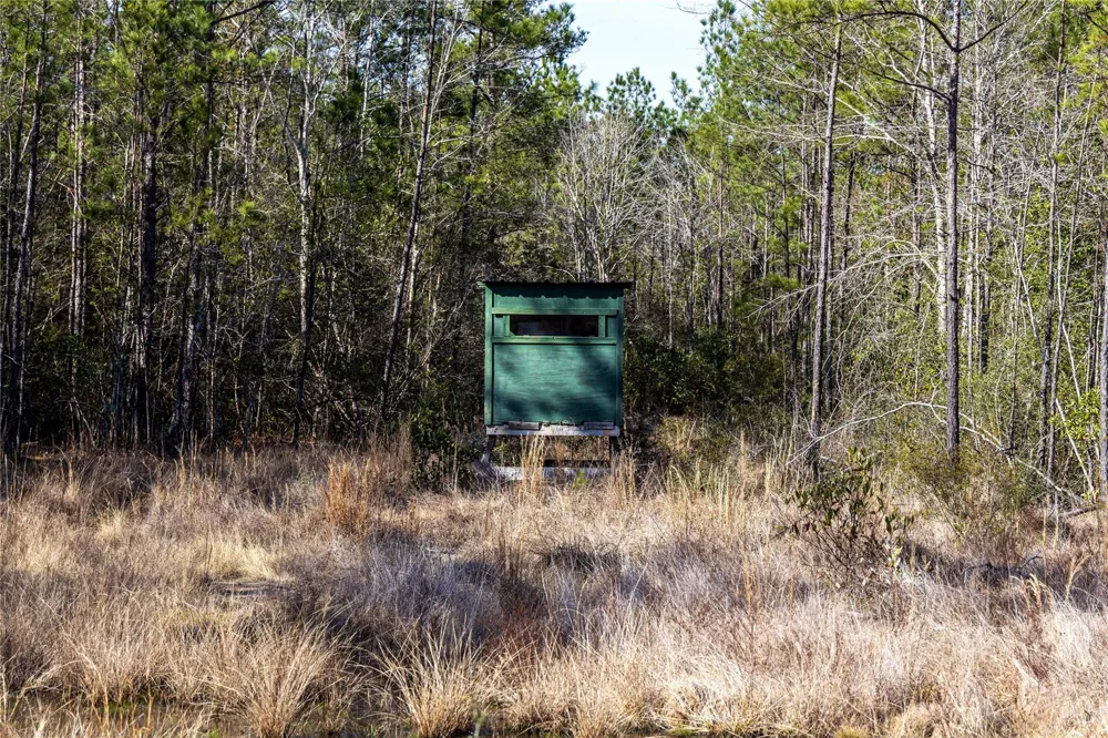 1865 Hwy 326 Kountze, TX 77625