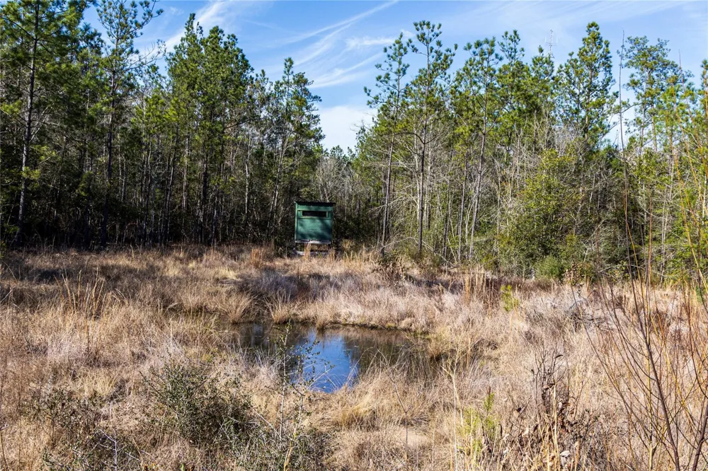 1865 Hwy 326 Kountze, TX 77625