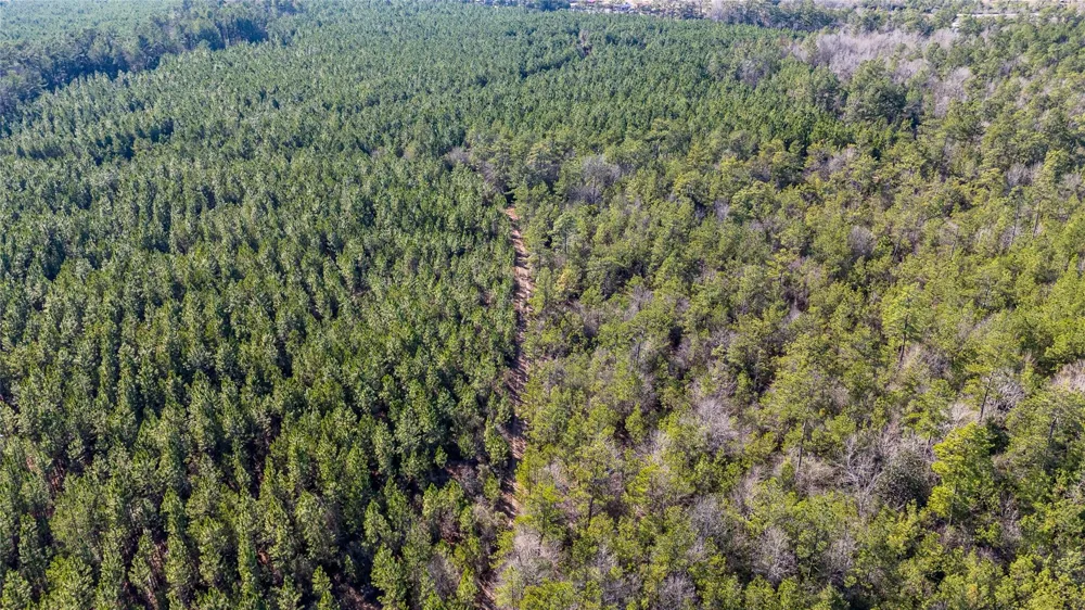 1865 Hwy 326 Kountze, TX 77625